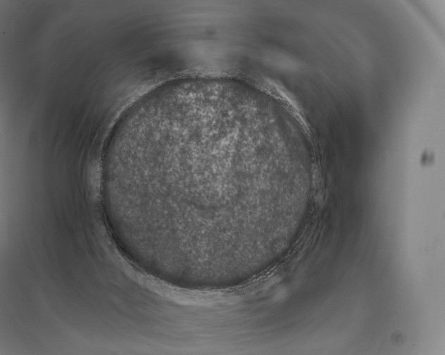 X0000095130012200712301835