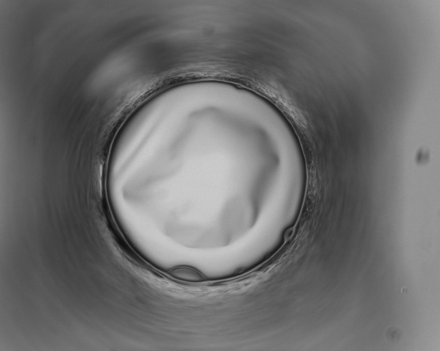 X0000095130014200712301835