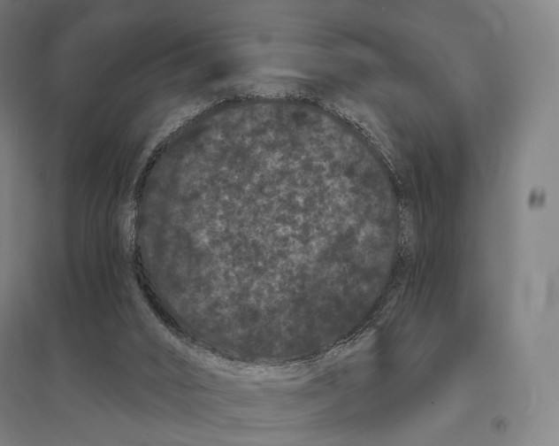 X0000095130016200712301835