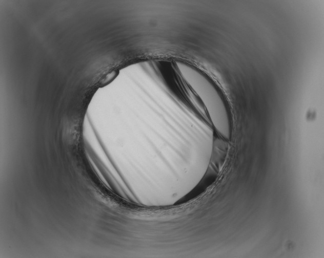 X0000095130017200712301835