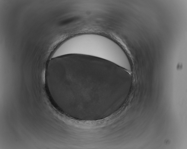 X0000095130019200712301835