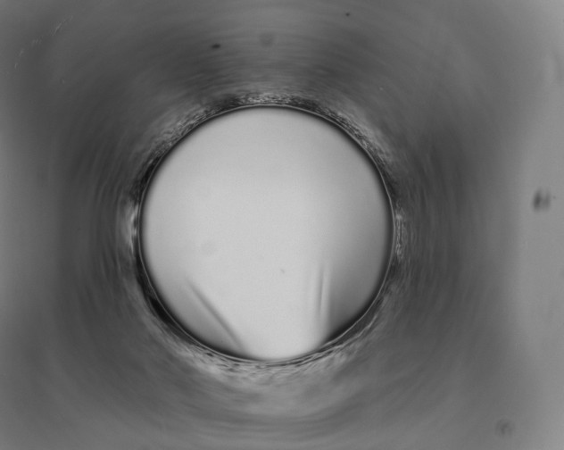 X0000095130022200712301835