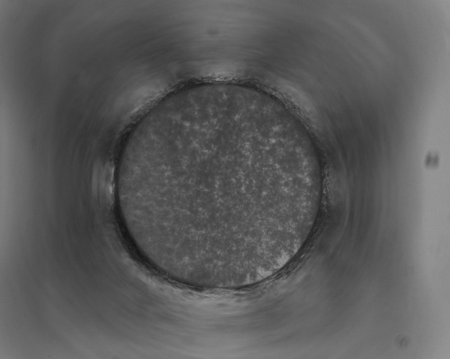 X0000095130024200712301835