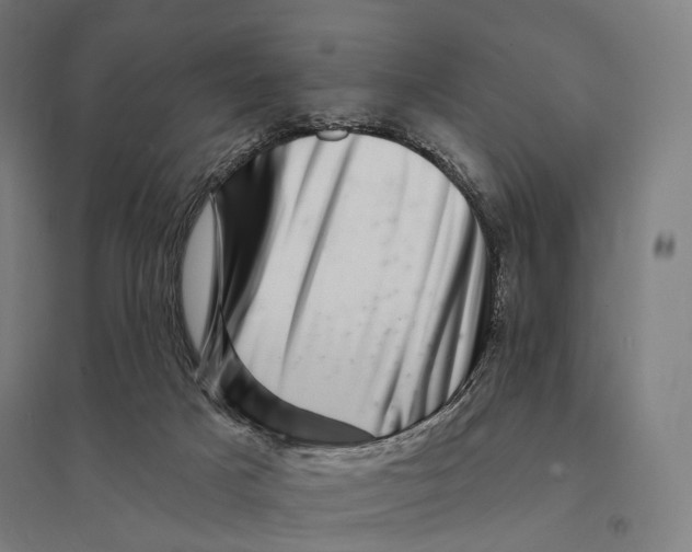 X0000095130025200712301835