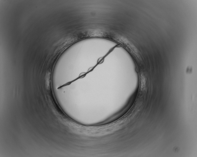 X0000095130026200712301835