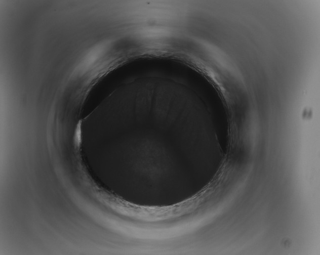 X0000095130027200712301835