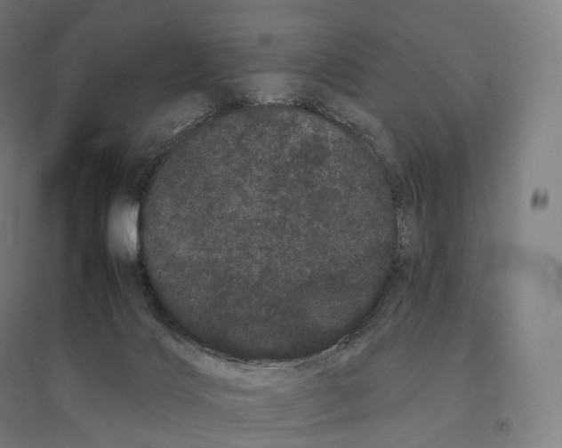 X0000095130028200712301835