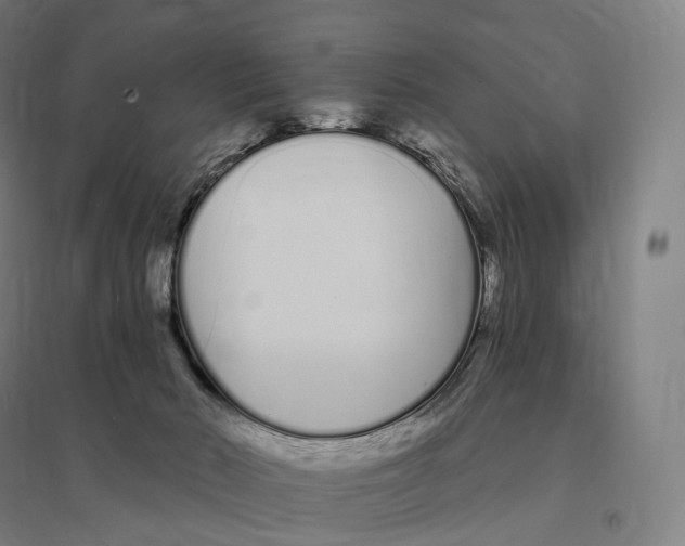 X0000095130030200712301834