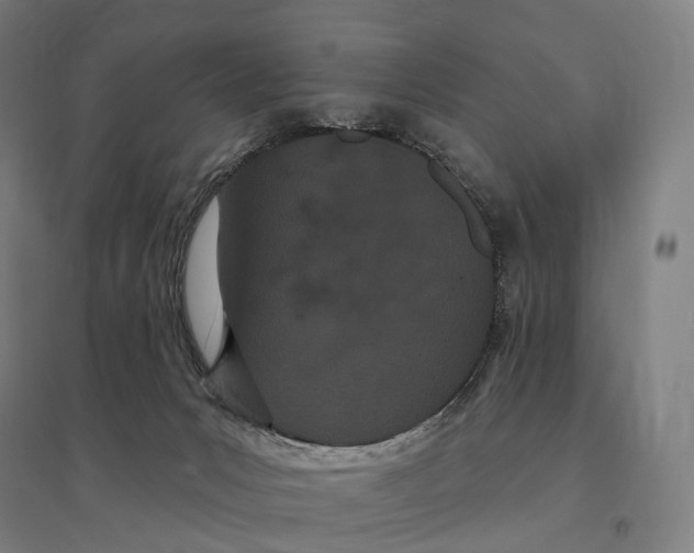 X0000095130031200712301834