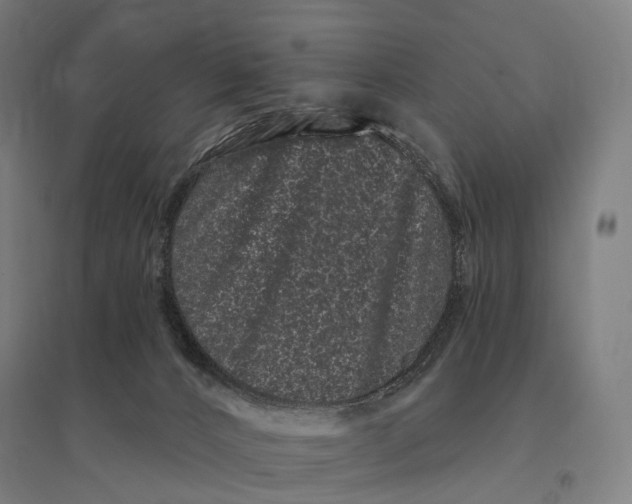 X0000095130032200712301834