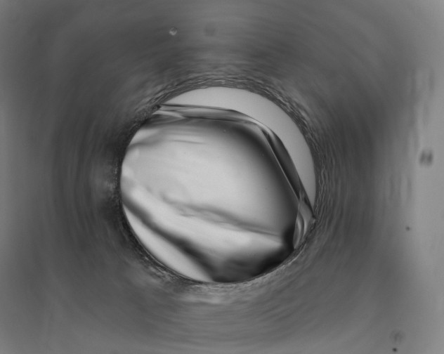 X0000095130033200712301834