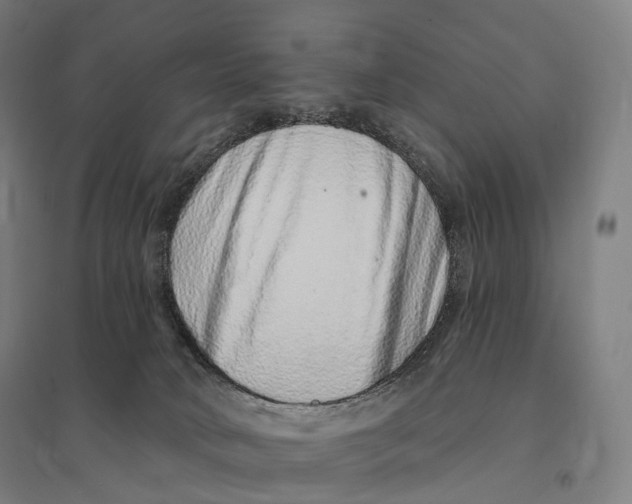 X0000095130034200712301834