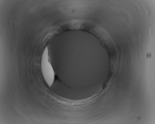 X0000095130035200712301834