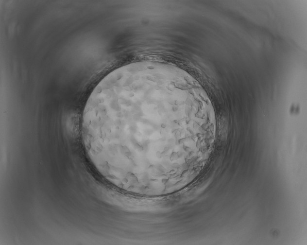 X0000095130036200712301834