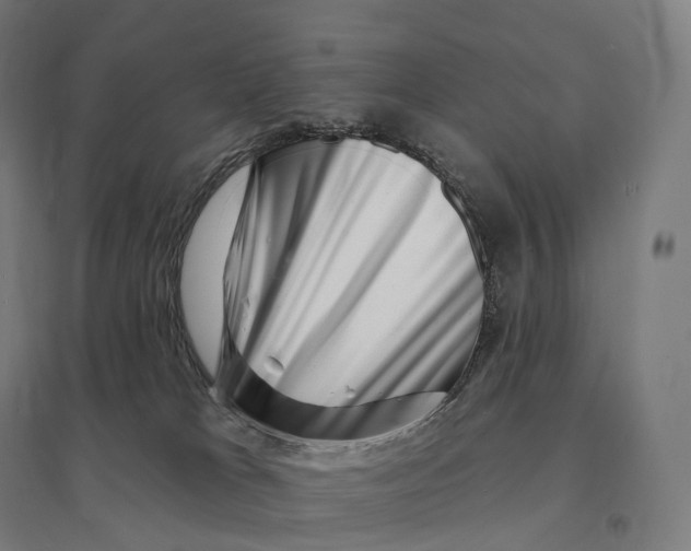 X0000095130037200712301834