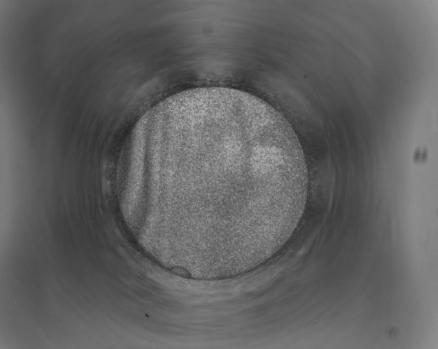 X0000095130038200712301834