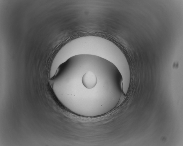 X0000095130039200712301834