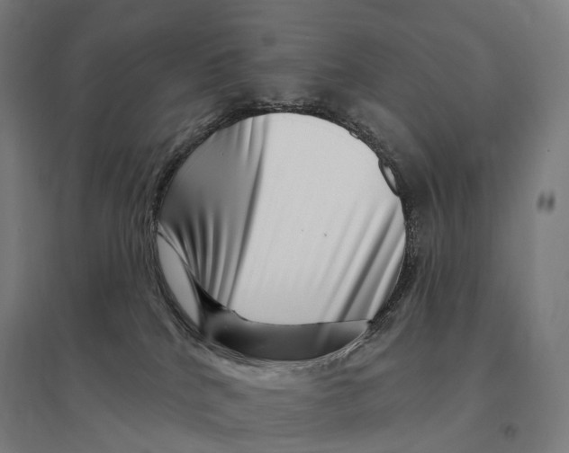 X0000095130040200712301834