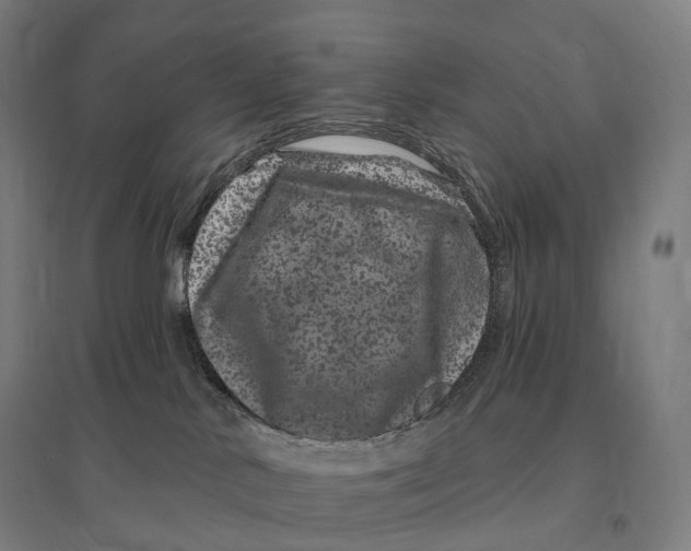 X0000095130042200712301834