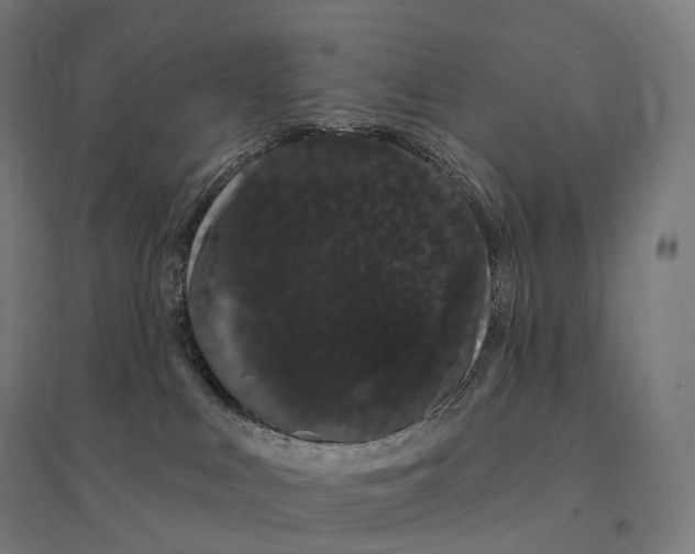 X0000095130043200712301834