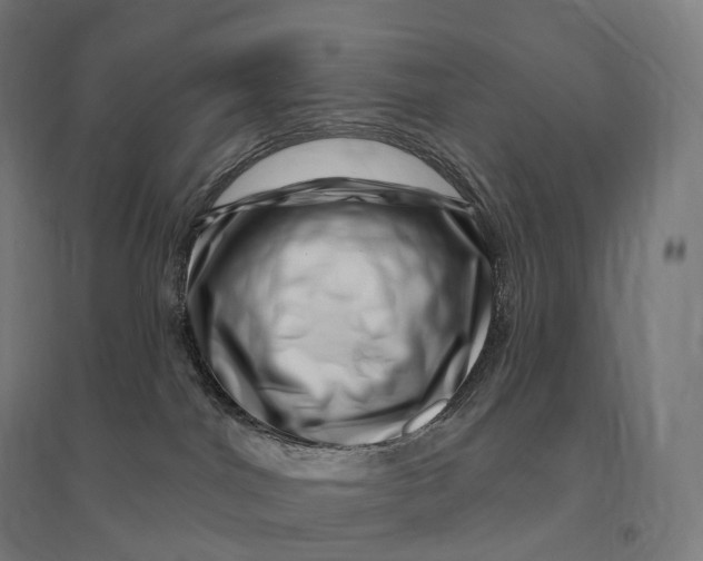 X0000095130044200712301834