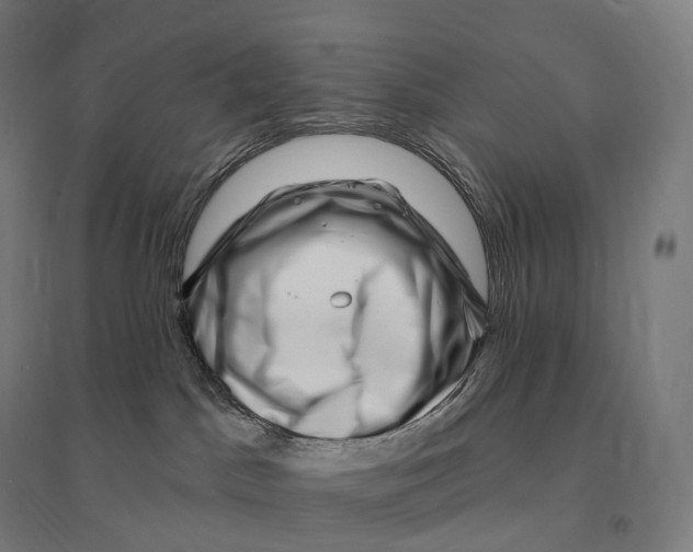 X0000095130045200712301834