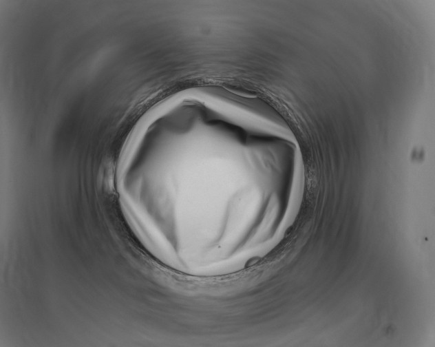 X0000095130046200712301834