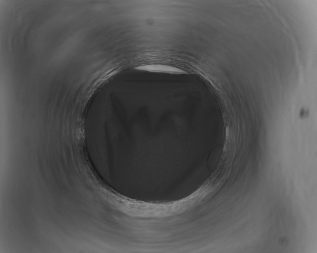 X0000095130048200712301834