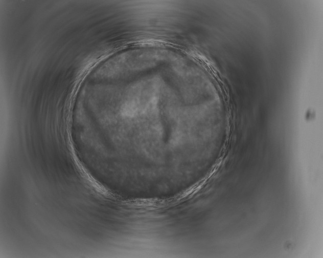 X0000095130049200712301834