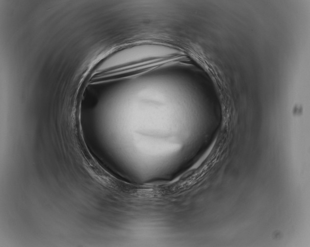 X0000095130050200712301834