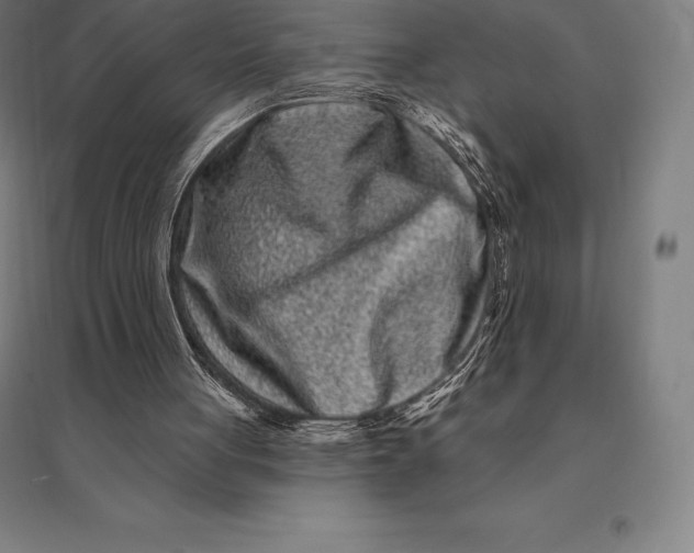 X0000095130051200712301834