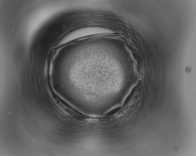 X0000095130052200712301834