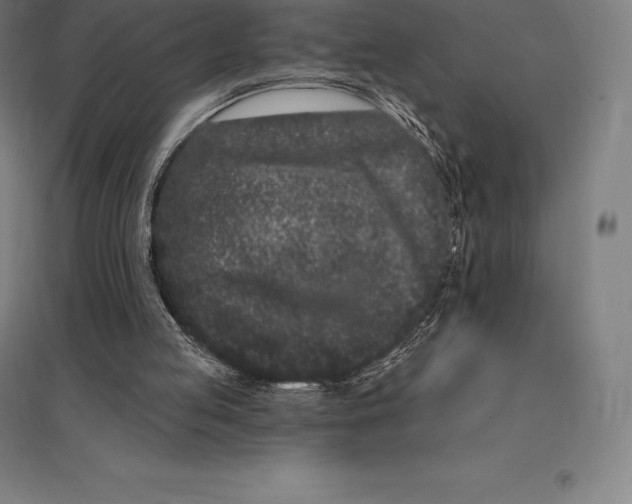 X0000095130053200712301834