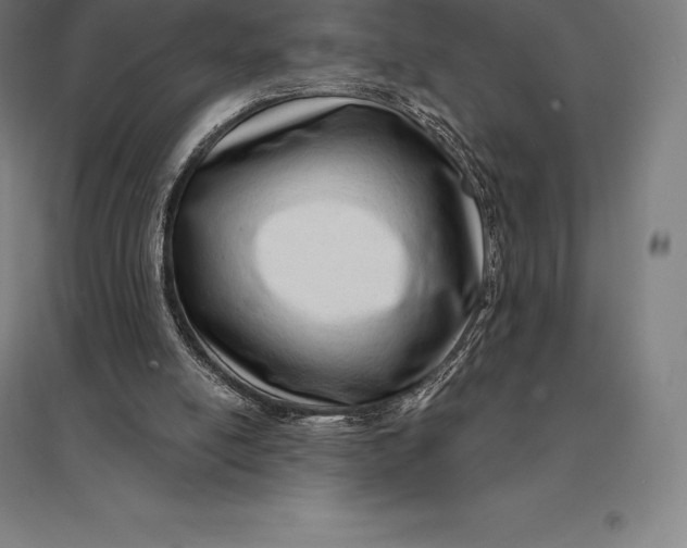 X0000095130054200712301834