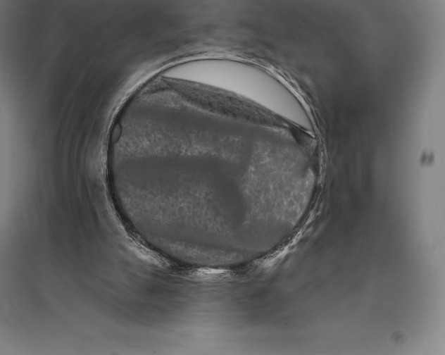 X0000095130055200712301834