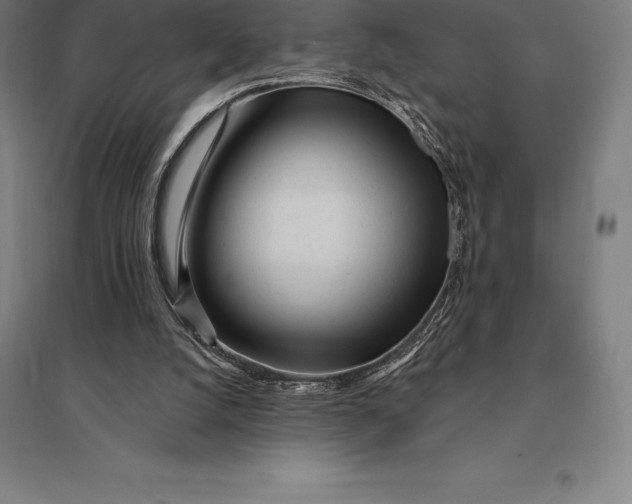 X0000095130056200712301834