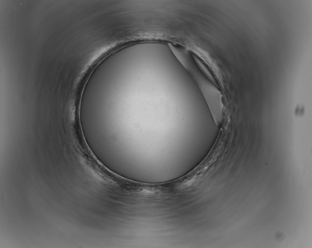 X0000095130060200712301834