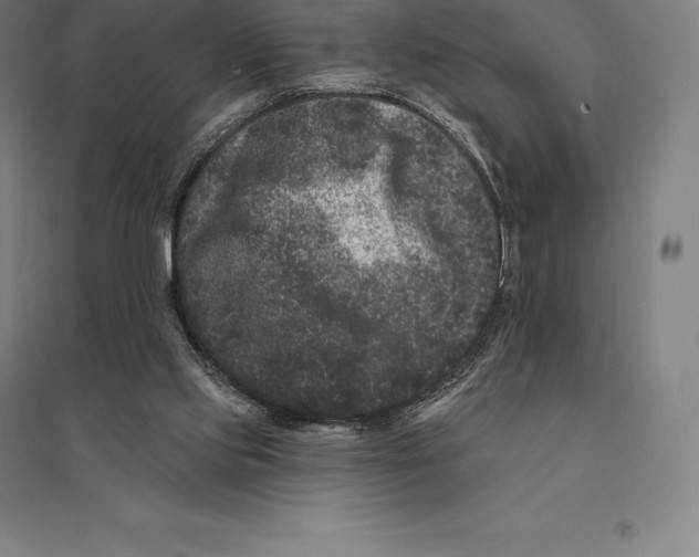 X0000095130061200712301834