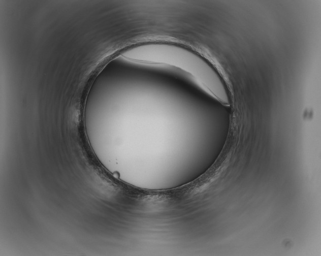 X0000095130063200712301834