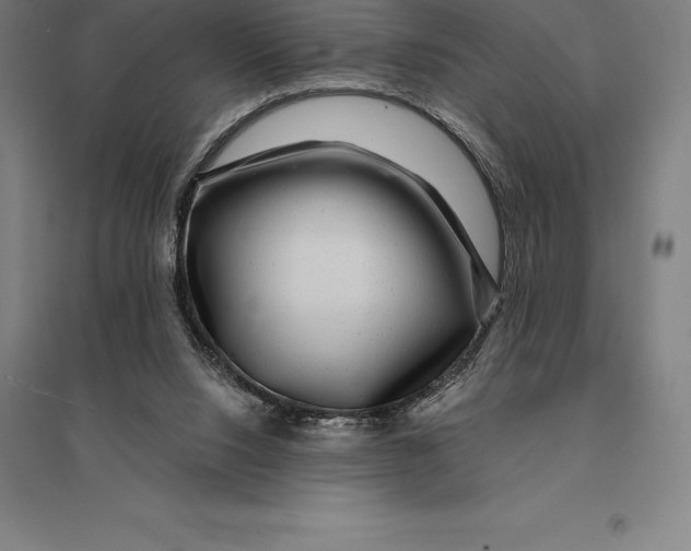 X0000095130064200712301834