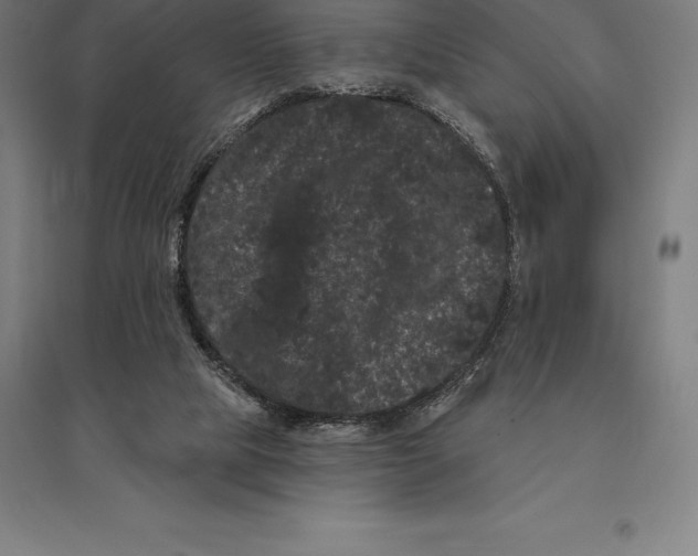 X0000095130065200712301834