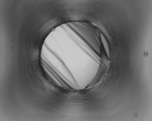 X0000095130066200712301834