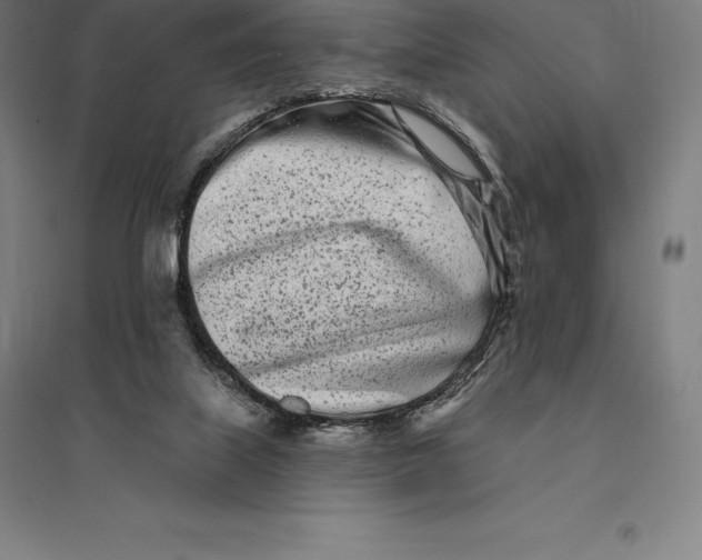 X0000095130067200712301834