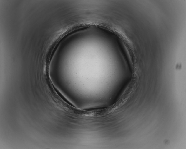 X0000095130068200712301834