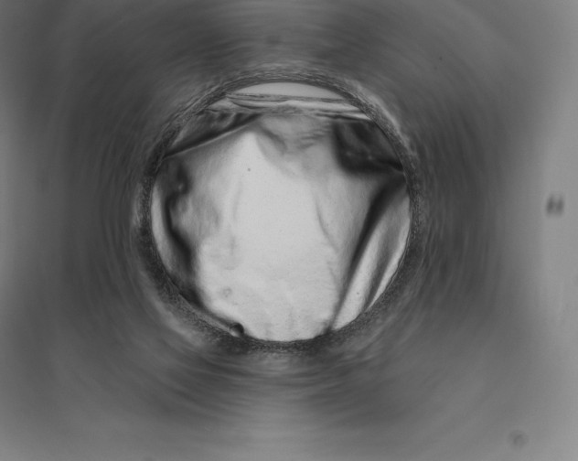 X0000095130069200712301834