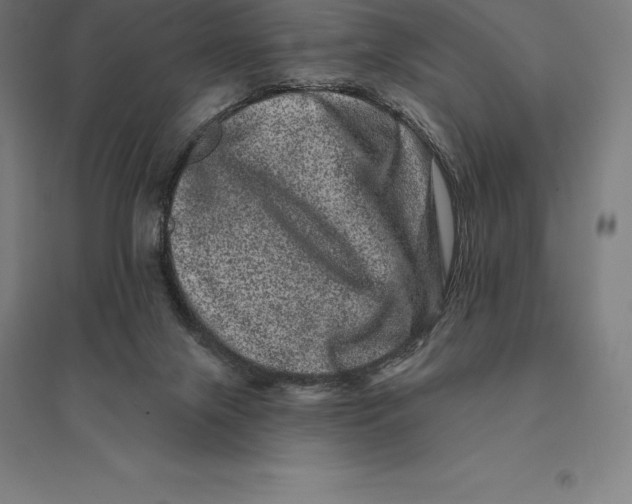 X0000095130071200712301834