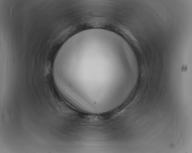 X0000095130073200712301834