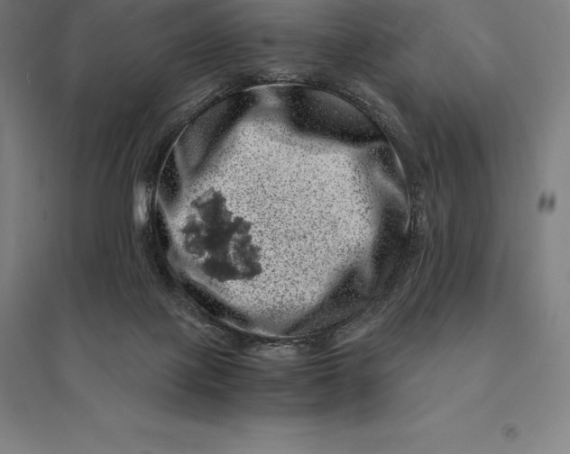 X0000095130075200712301834