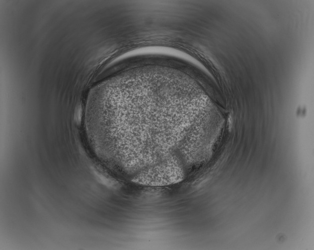 X0000095130076200712301834