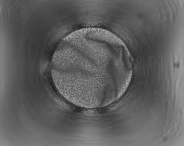 X0000095130079200712301834